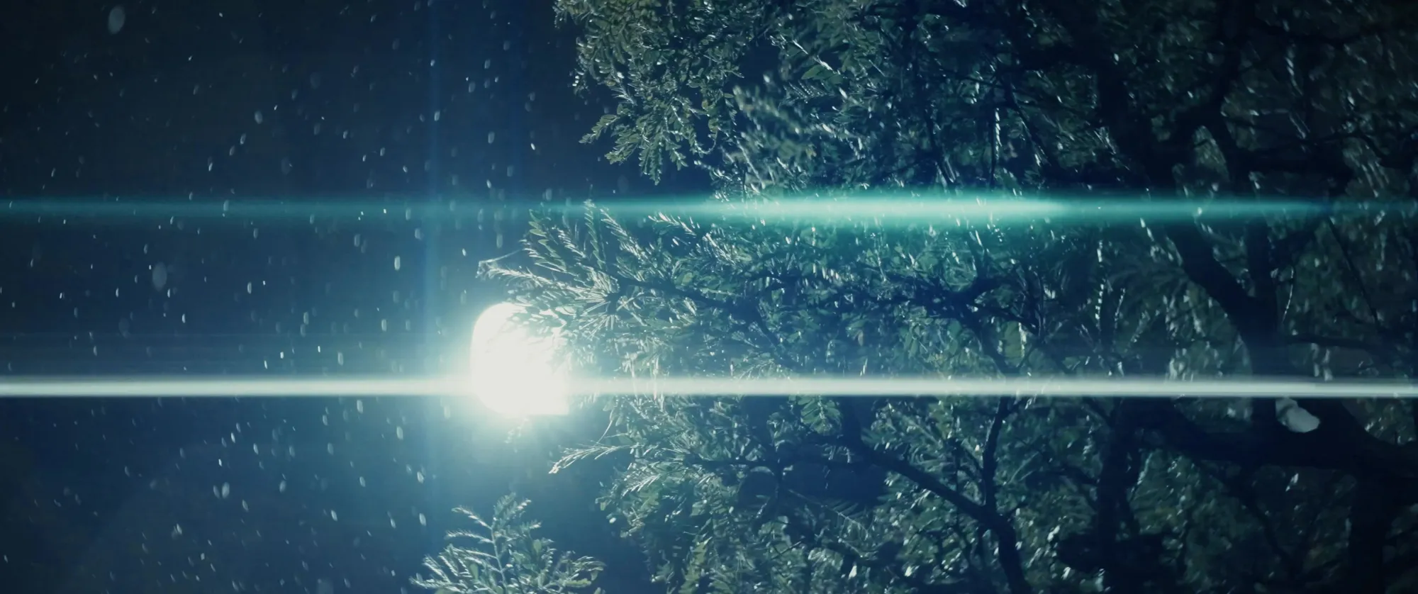 Rain and anamorphic light flares against the trees at night