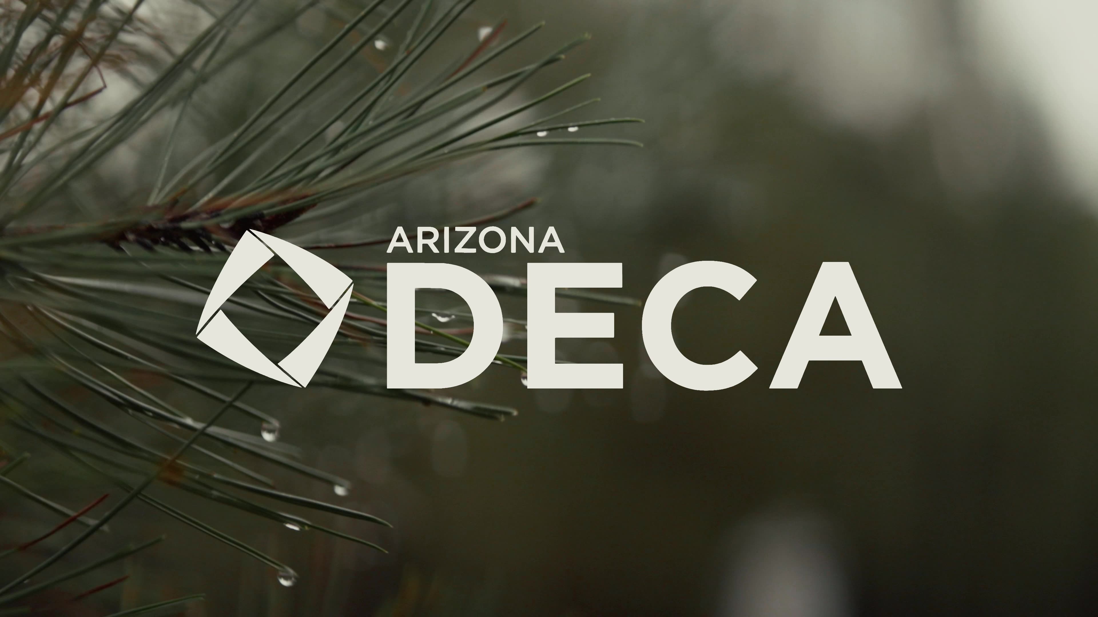 Logo over pine branches