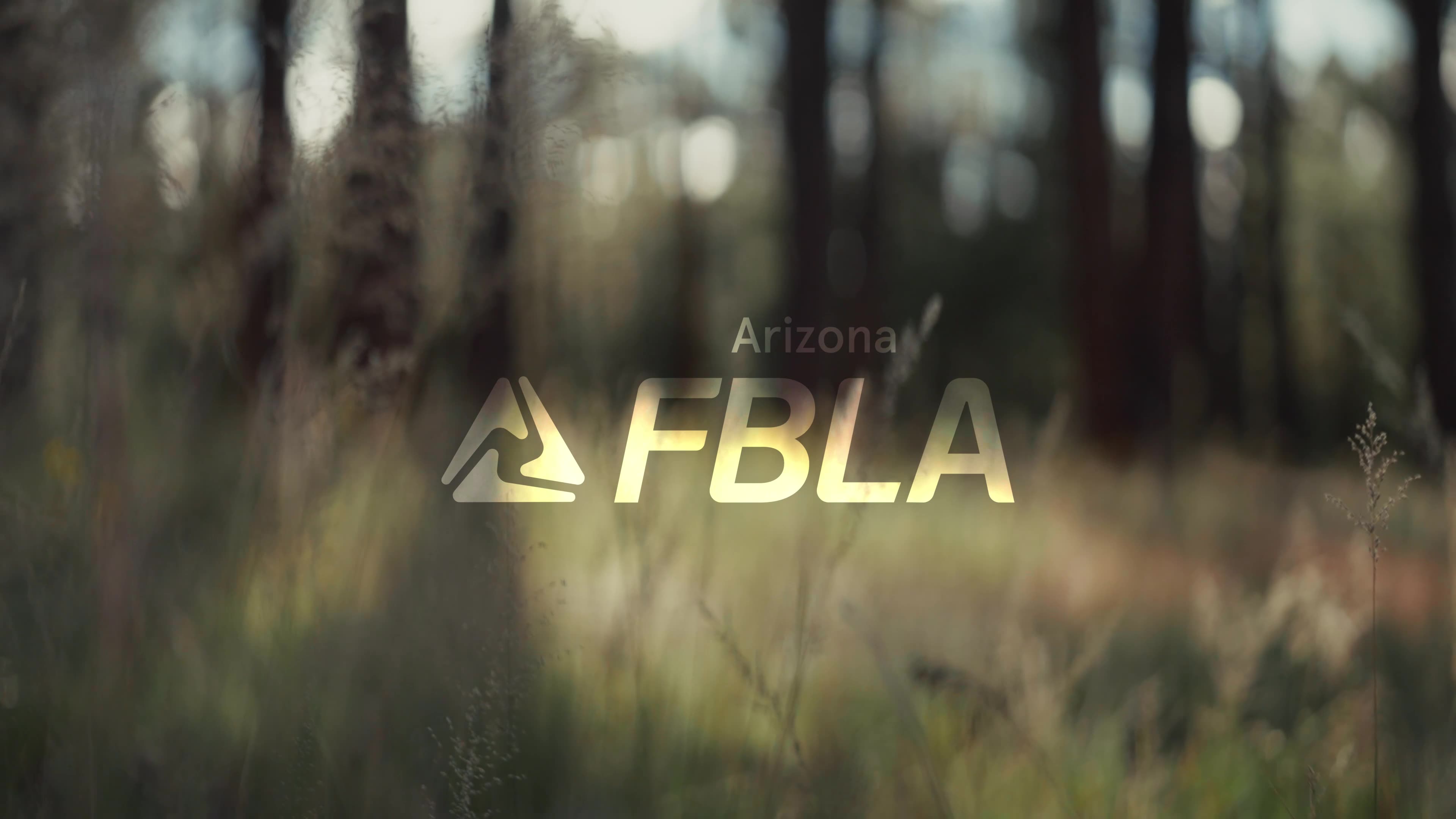 Logo over a woodland scene